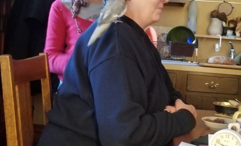 Titus Andrew M 1008 4th Ave, Worthington Minnesota 56187