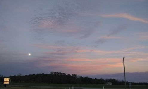 Alpha & Omega Pink Hill