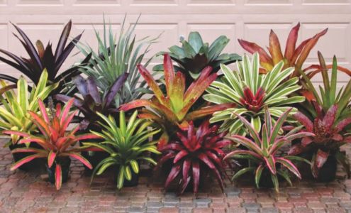 Grant's Farm Nursery