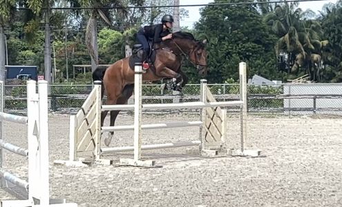 Horse Club Florida Southwest Ranches