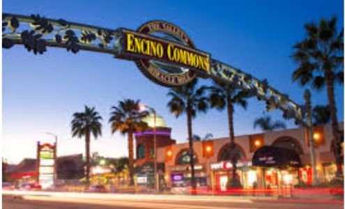 InsurAide Insurance Agency, Inc.