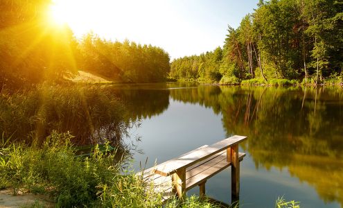 Moisand Fitzgerald Tamayo, LLC