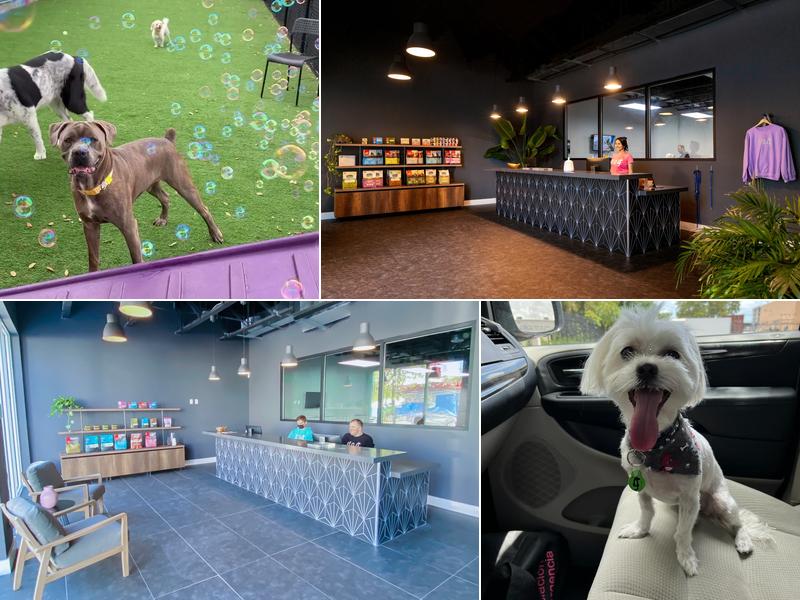 D.O.G. HOTELS - Miami Shores