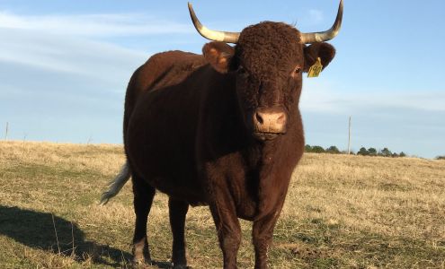 Youngblood Farm Grannis