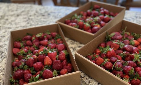 Carter Farms Eagle Springs