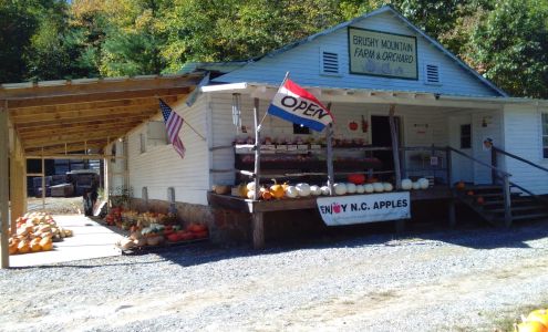 Brushy Mountain Farm & Orchard Moravian Falls