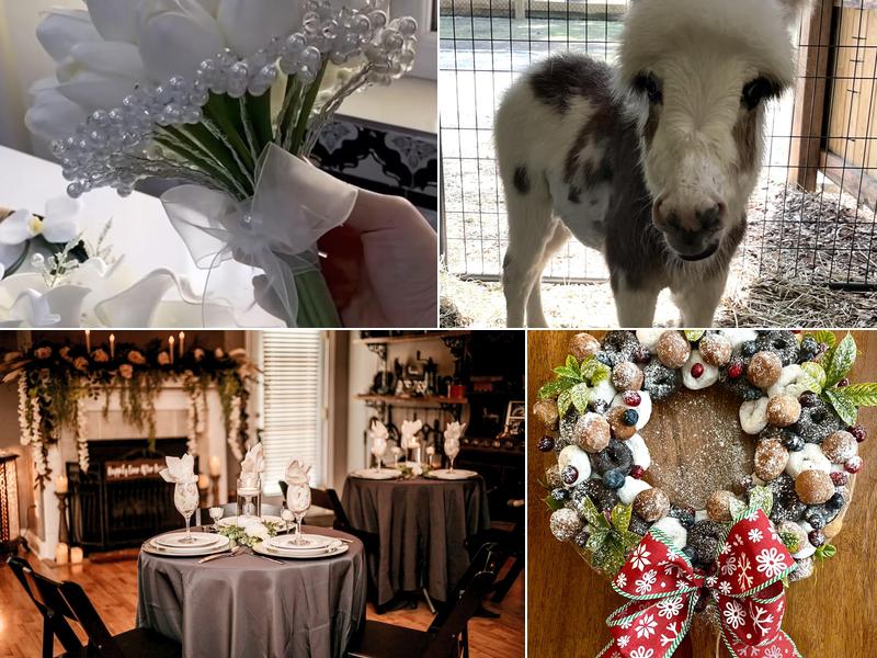 The Nook at Sneads Ferry