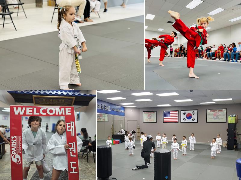 Parks Taekwondo Federation