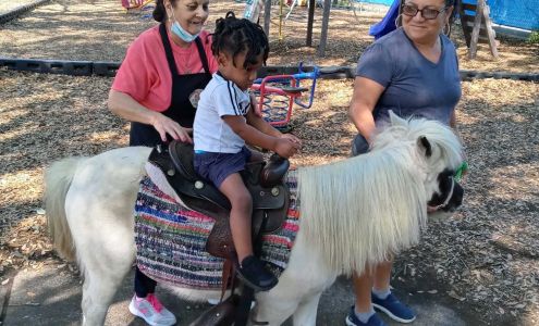 Building Blocks At Clearwater