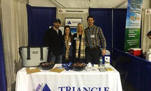 Triangle Insurance & Associates