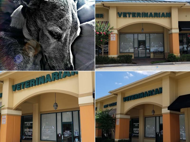 Fidelity Animal Hospital