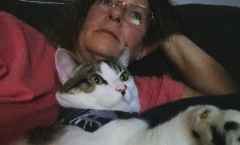 The Pet Nanny Lakeland LLC