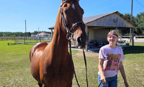 Grune Heidi Farm Rescue