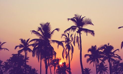 Miami Center for Holistic Healing