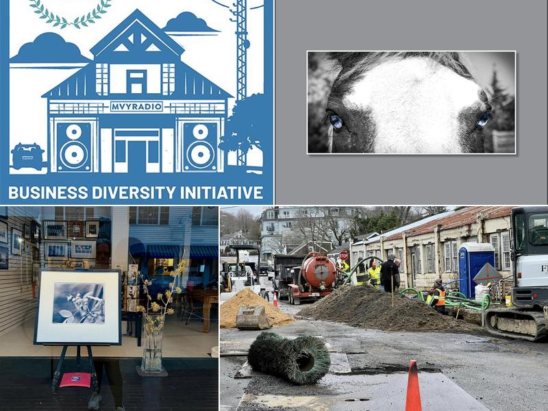 Framed On Marthas Vineyard