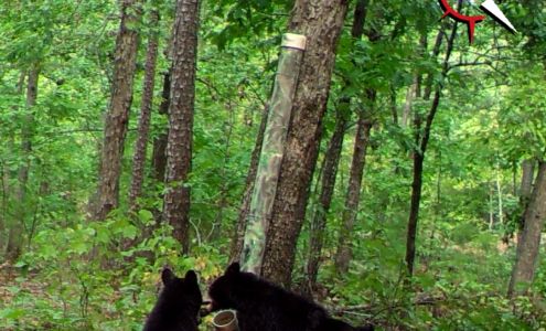 SE Oklahoma Land Company 905 W Main St, Antlers Oklahoma 74523