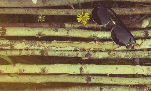 Salomon & Schwitzman