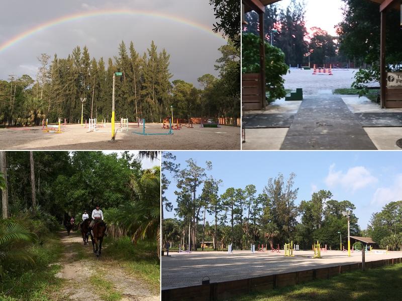 Hart-Woods Equestrian