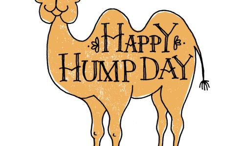 Walton & Associates, LLC American Family Insurance Concordia