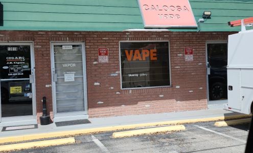 CALOOSA vape & blueray gallery