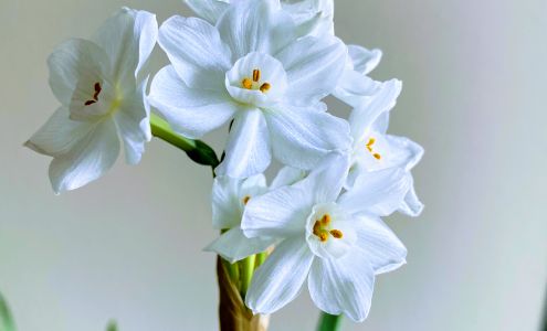 Brighthouse Learning Academy