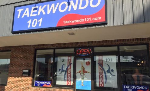 Taekwondo 101