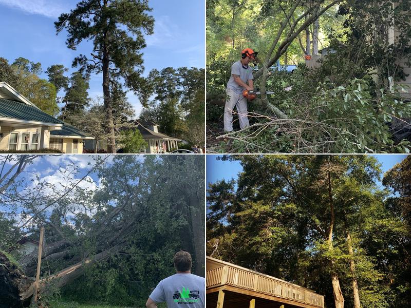 360 Tree Care LLC