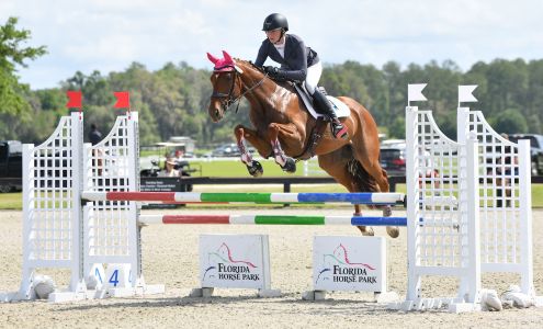 Mikenda Farm Christmas