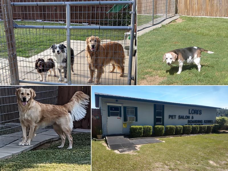 Lori's Pet Salon & Boarding Kennel