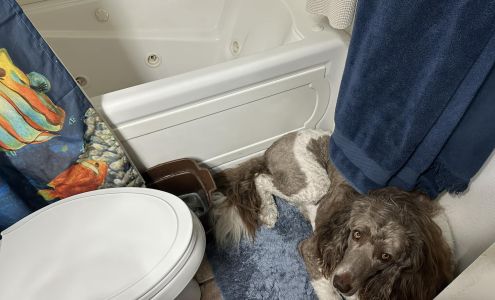 Jeanine's Professional Dog Training