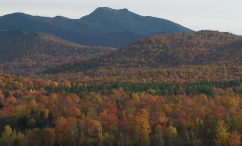 Mansfield Mortgage Professionals