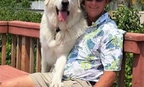 Will Thomas Dog Whisperer