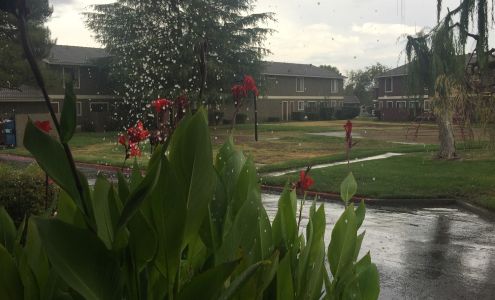 West View Apartments Avenal