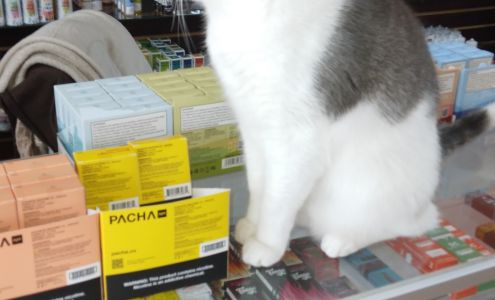 Highlife Vape + Smoke Shop