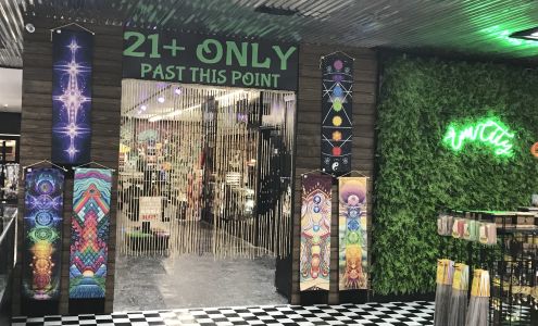 Smoke Shop Vape Shop Emerald City Vs