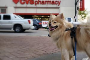 CVS Pharmacy Martins Ferry