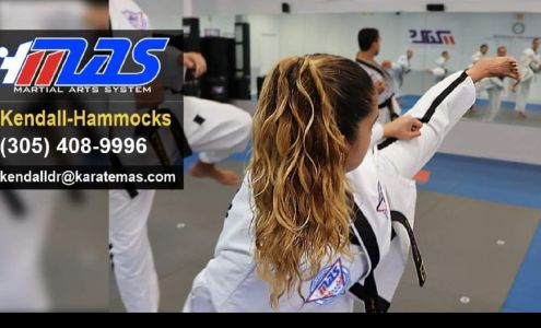 Martial Arts System (Kendall Hammocks)