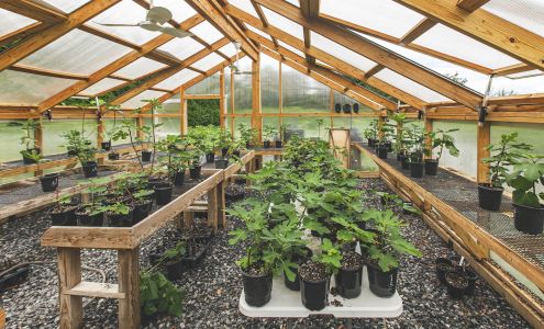 Off the Beaten Path Nursery