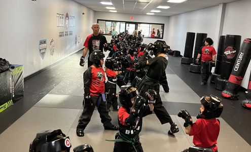 Tiger-Rock Martial Arts