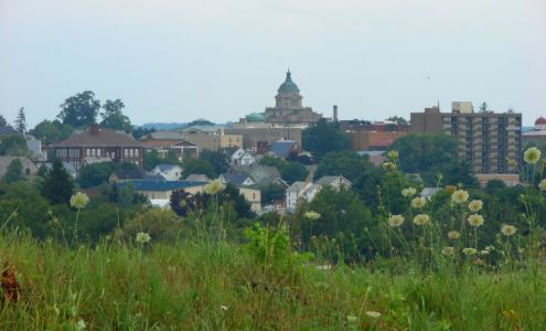 Insurance Services LLC