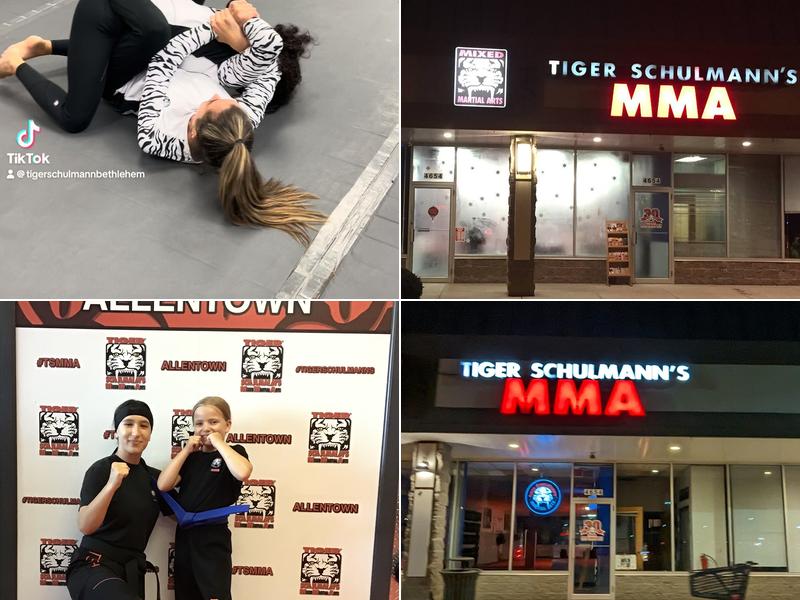 Tiger Schulmann's Martial Arts (Allentown, PA)