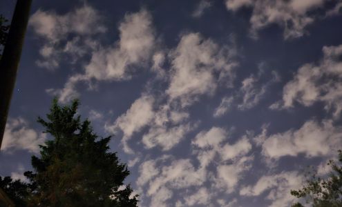 Premier Orthotic & Prosthetics inc. Clarkston