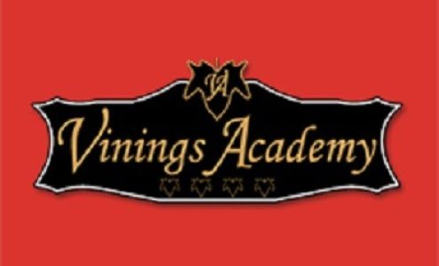 Vinings Academy