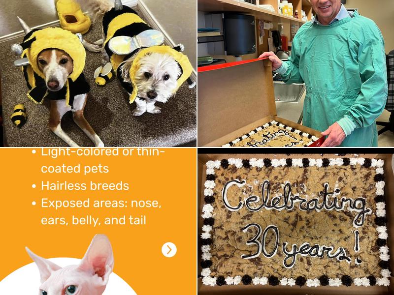 Terra Vista Animal Hospital