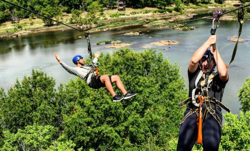 The Flight Of The Blue Heron