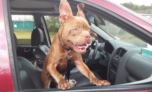 Russell County Animal Shelter