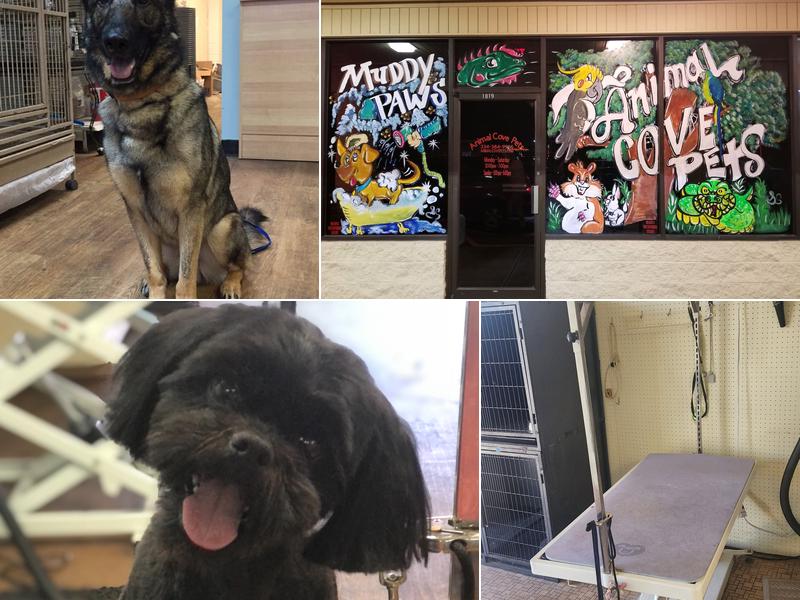 Ms Muddy Paws Pet Grooming