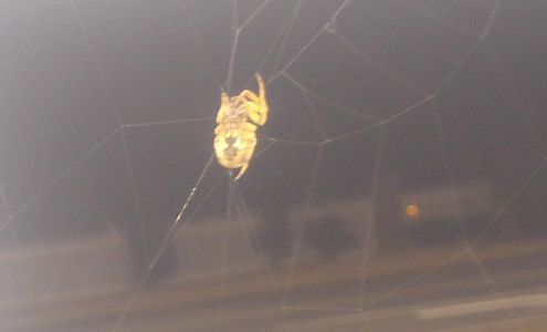 Child Life Discovery Center