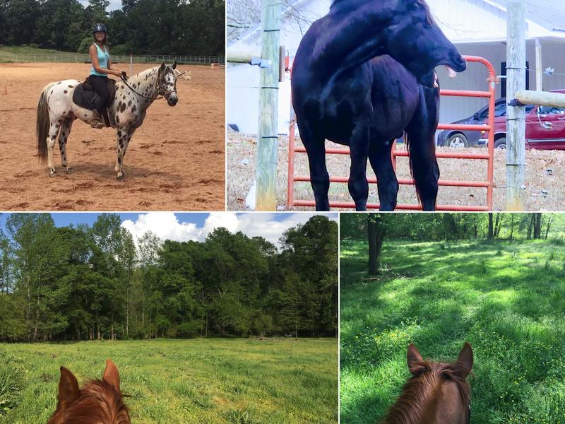 Dancing Tree Farms LLC