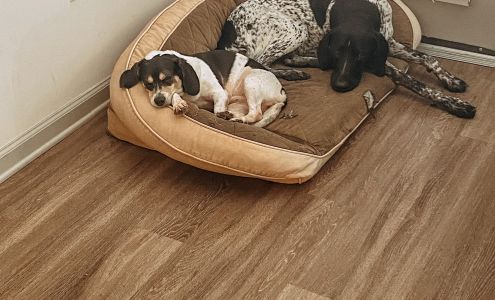 Our Pal's Place Daycare Boarding & Training